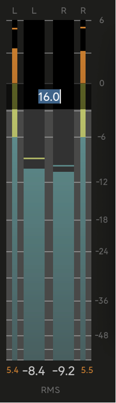 Input meters (peak and RMS). Double click on the meter to enter a value for the Input Gain control.